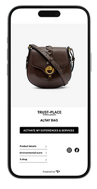 Isabel Marat bag