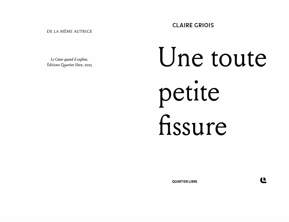 Une toute petite fissure 1