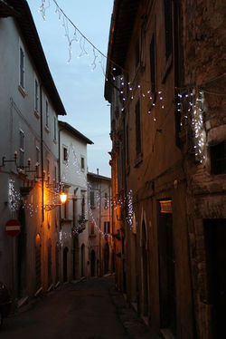 Christmas Lights