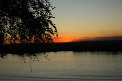 Chobe River