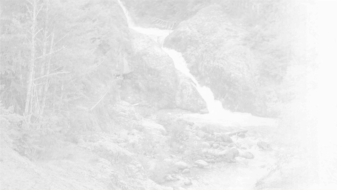 black and white image of Tumwater Falls, Tumwater, Washington 