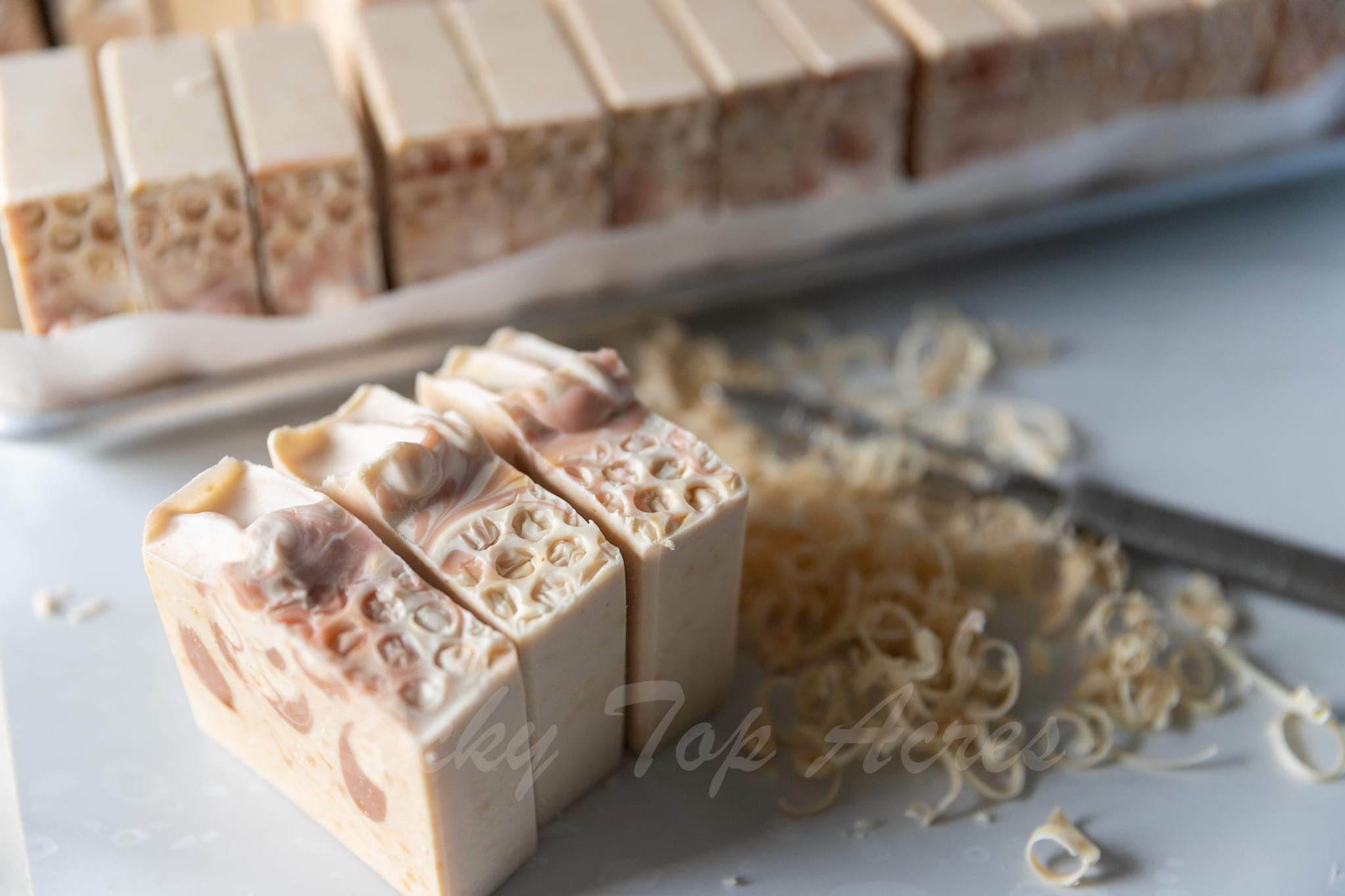Honey Bee Goat Milk Soap