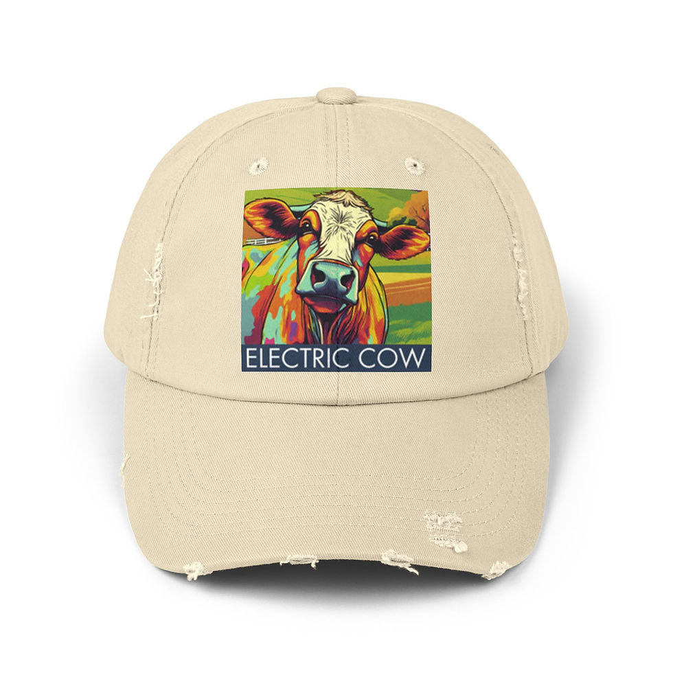Thumbnail: Unisex Distressed Cap
