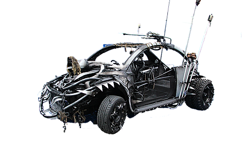 bug1_edited.png