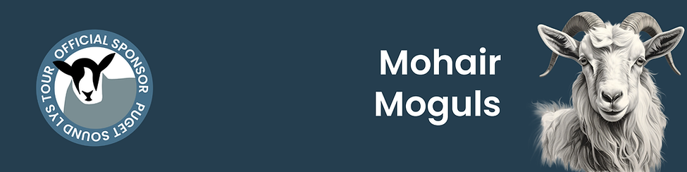Sponsorship banners Passport LYS Tour - Mohair Moguls Banner.png