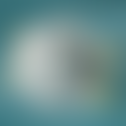 FFP1 Disposable Particulate Respirator