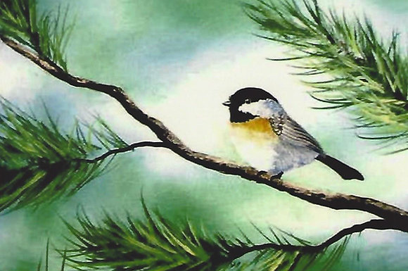 Black Capped Chickadee Painting Packet Wilson Bickford black-capped-chickadee-painting-packet-wilson-bickford