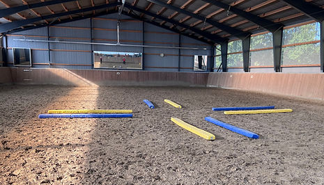 Kleeblatt Dualaktivierung_edited.jpg