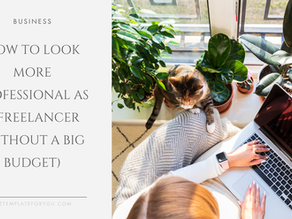 Woman using a laptop near a window with plants and a cat. Text reads: "How to look more professional as a freelancer (without a big budget)."