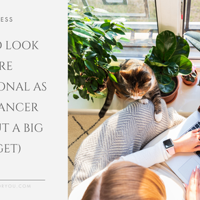Woman using a laptop near a window with plants and a cat. Text reads: "How to look more professional as a freelancer (without a big budget)."