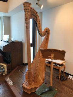 IMG-2895.jpg