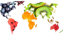 Collage of fresh mixed fruits. World map