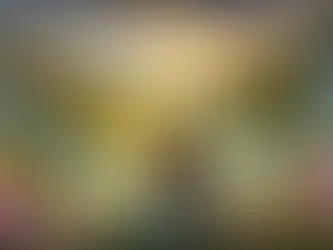 Li y el Valle del Murmullo: Las Enseñanzas del Viento