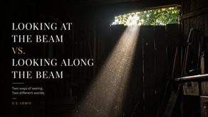 Meditation in a Toolshed	