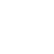 check mark-cutout_edited_edited_edited