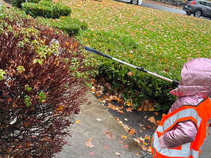 Rain or Shine: 8-Year-Old Anna Celebrates Birthday by Cleaning Bellevue Streets