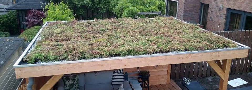 AD_4nXeNGPbTQRr_ImqMm5U3G6Q5MiNTPCALEWycYUUoqfv0mjqYD4ibM8UGA460OoX4c_vQ4P7KvydOpKmt5QzoxN