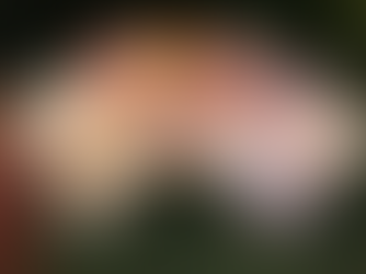 Krossinn og hnífsblaðið - enn verið að lesa