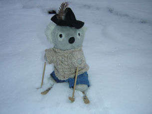 Ástríkur lítill bangsi