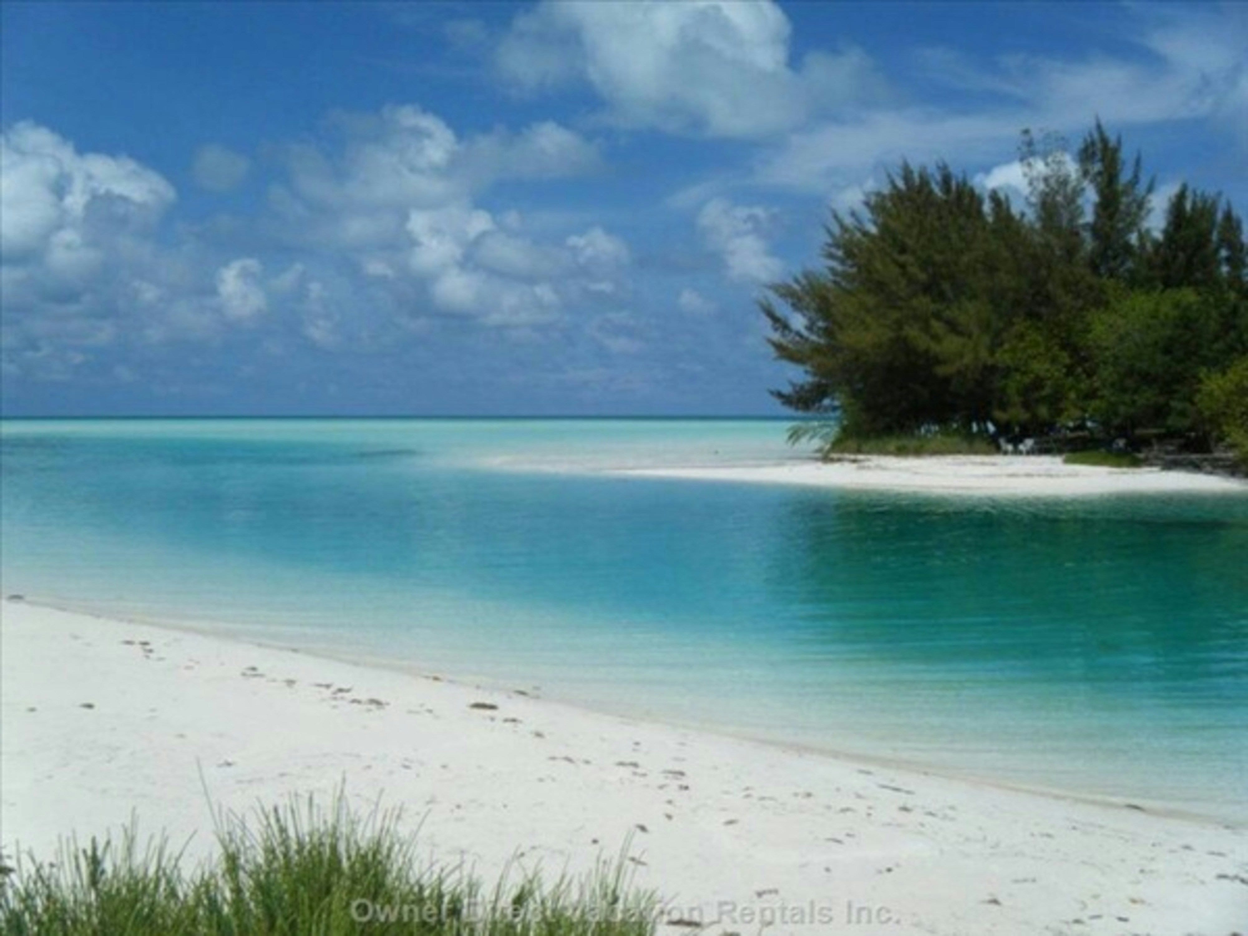 Paradise Found: Our Bahamas Adventure at Atlantis, Paradise Island