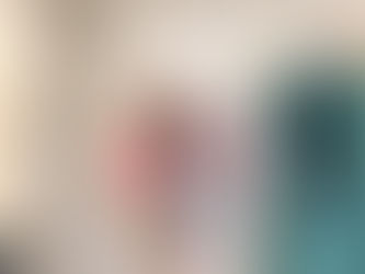 Pink Lily Boutique Brand Ambassador Program Announcement