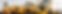 Cover photo Chuck Yarbro.png