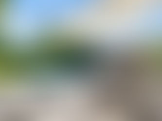 Warum professionelle Immobilienfotografie den Unterschied macht