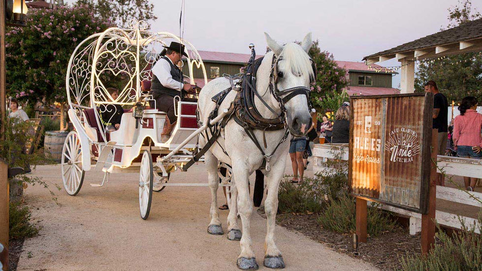 Horse-drawn carriage at Vail