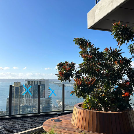 seaside hotel-top with unfinished glass retaining wall, sections with blue-tape X's yet, more waffled steel mesh flooring awaiting a concrete pour, and a sitting redwood circular planter with ephenisus plantarcimus thriving amidst the succulents, and upper story corner just jutting into visibility against an ennerivatingly blue sky
