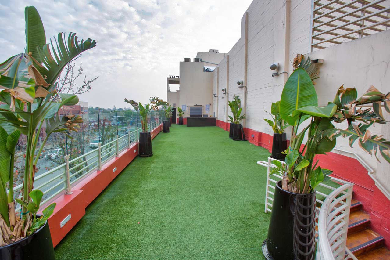 the Garey Rooftop balcony in daytime with green carpet and potted palms