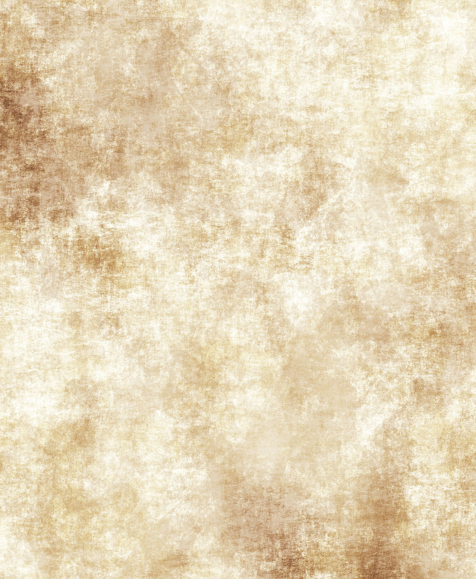 old grungy parchment page background image