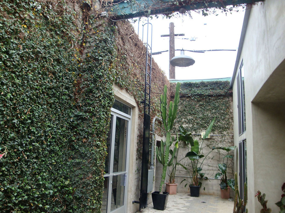 Emporia #305 Courtyard View