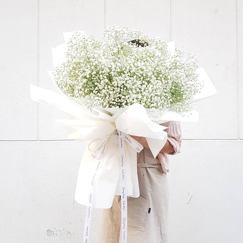 Baby Breath size XL | Everyday Wonders