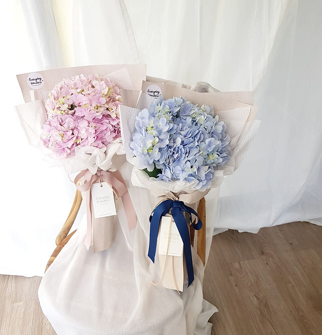 Hydrangea | Everyday Wonders