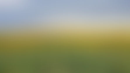 Opinion: Not all seed oils are created equal