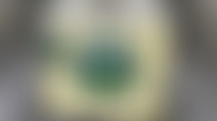 Bel North America names Peter McGuinness CEO amid expansion push