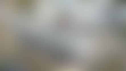 FrieslandCampina Ingredients doubles protein capacity with Borculo expansion