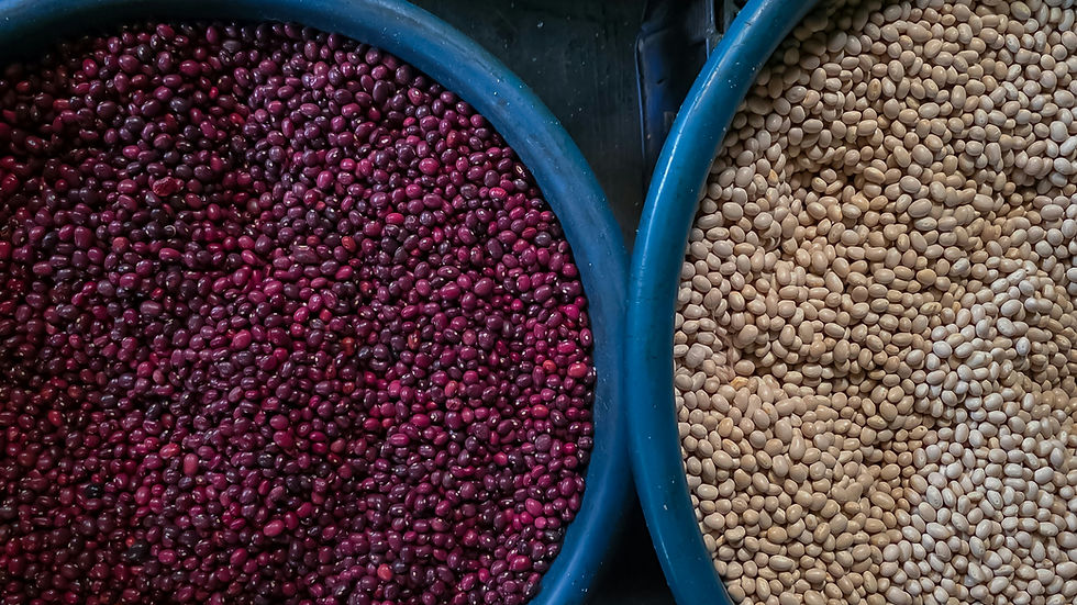 FDA proposes mandatory GRAS notifications in major overhaul of food ingredient oversight