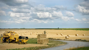 Kellogg’s expands regenerative agriculture programme to cover all UK wheat supply