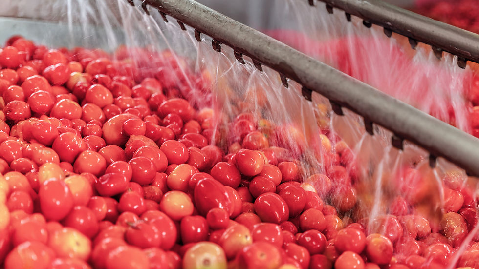Opinion: Water reuse in F&B – Turning risk into opportunity through innovation