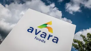 Avara announces £100m investment programme to strengthen UK poultry production