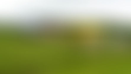 Swiss startup takes methane reduction technology from lab to dairy farm