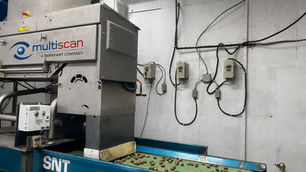 Weco launches X-ray inspection system for in-shell nuts