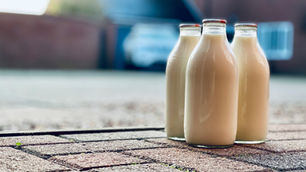 Interview: Tamarack lights the way with UV breakthrough that redefines milk’s potential