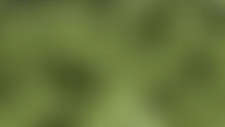 Beyond the biofilm: Tackling mould and bacterial contamination