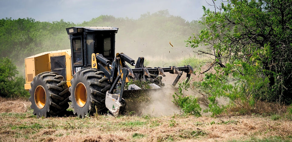 _DSC3889 - Copy_edited_edited_edited.jpg