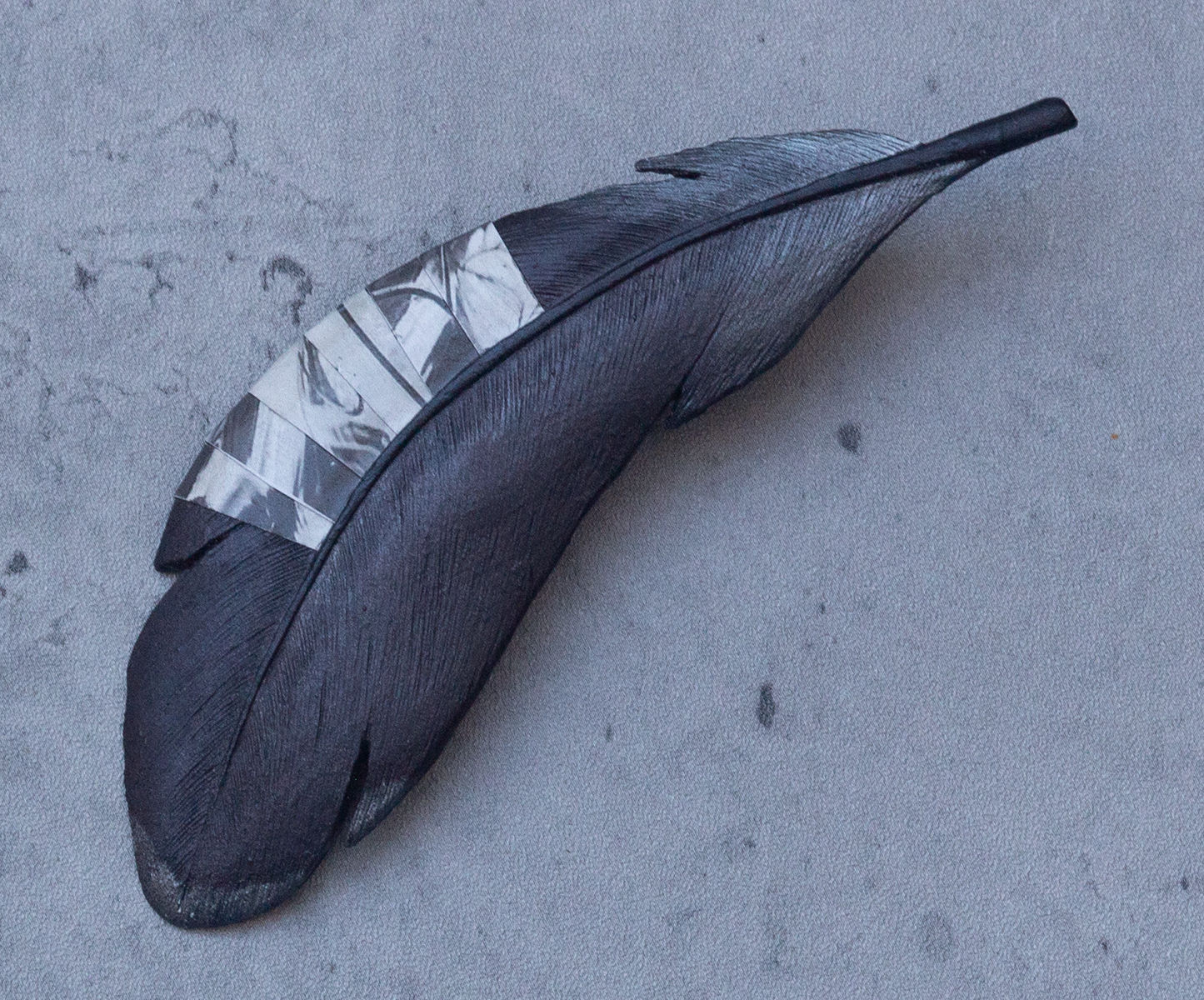 Black and White with Paper Collage Mallard Feather Clip