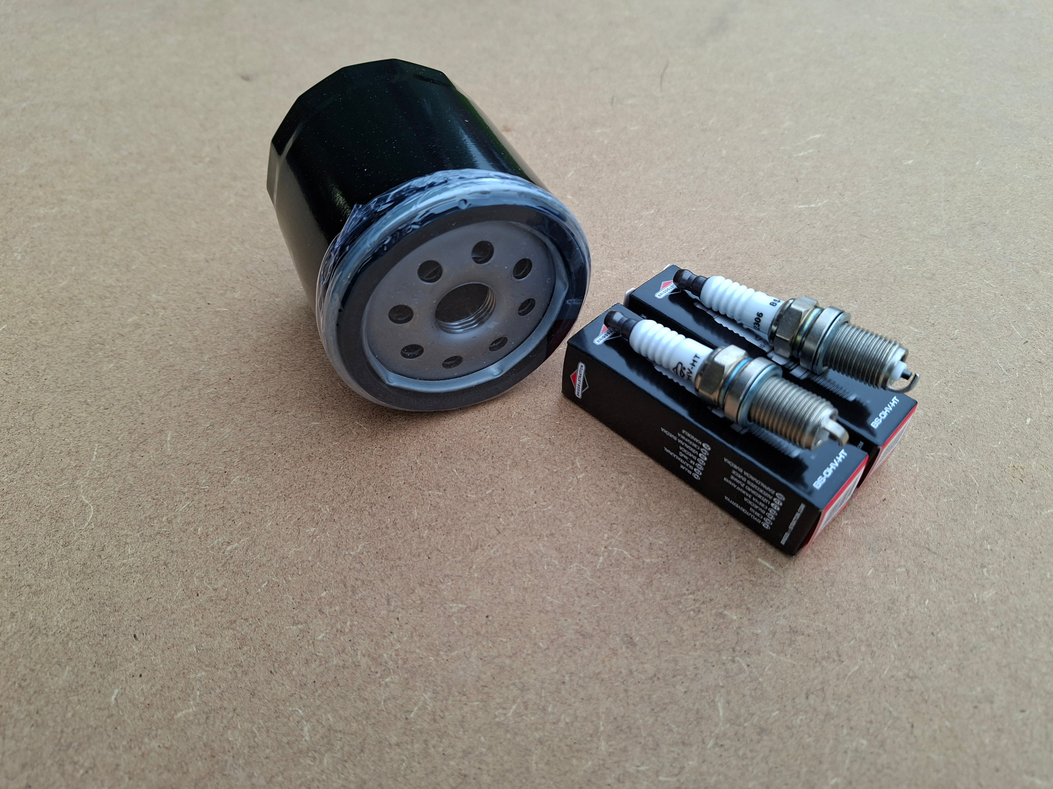 Logic Scrub buster flail oil filter & spark plugs