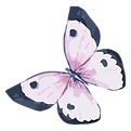 Akwarela Motyl 5