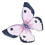 Purple Butterfly Illustration